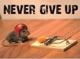 NeverGiveUp